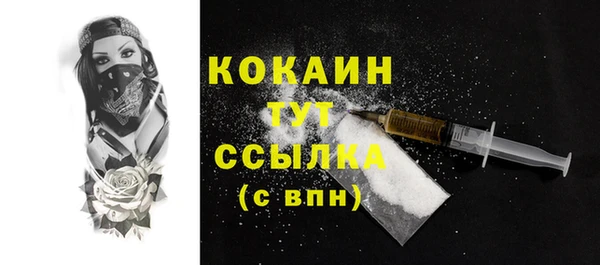 крисы Инта