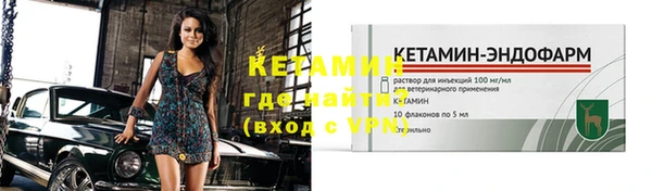 крисы Инта