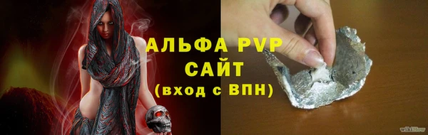 крисы Инта