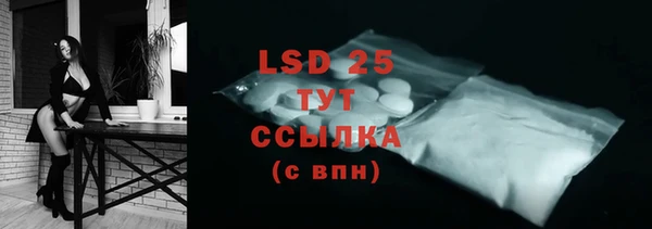 крисы Инта
