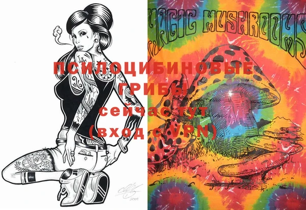 крисы Инта
