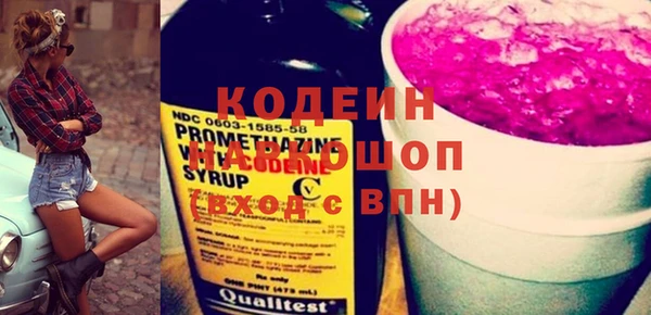 крисы Инта