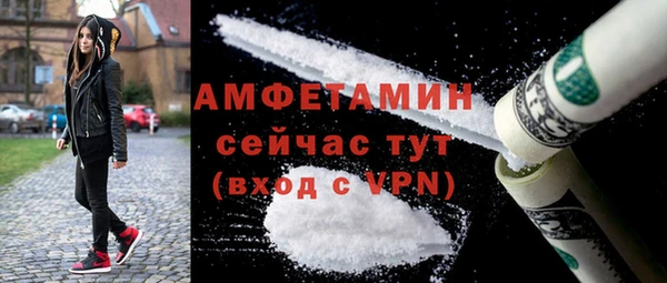 крисы Инта