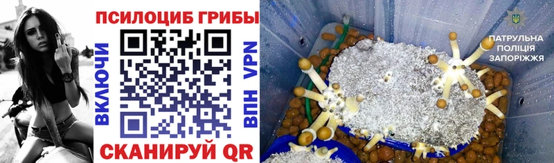 Купить закладки  Бузулук  Галлюциногенные грибы Magic Shrooms 